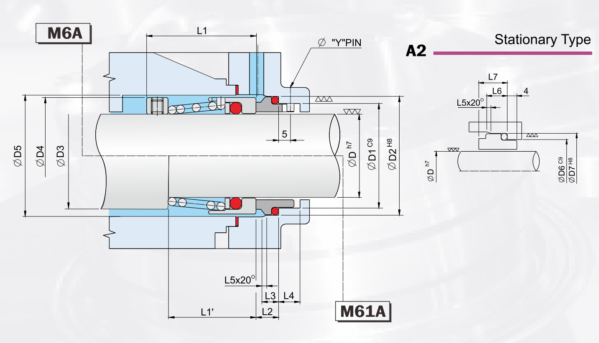 M6A