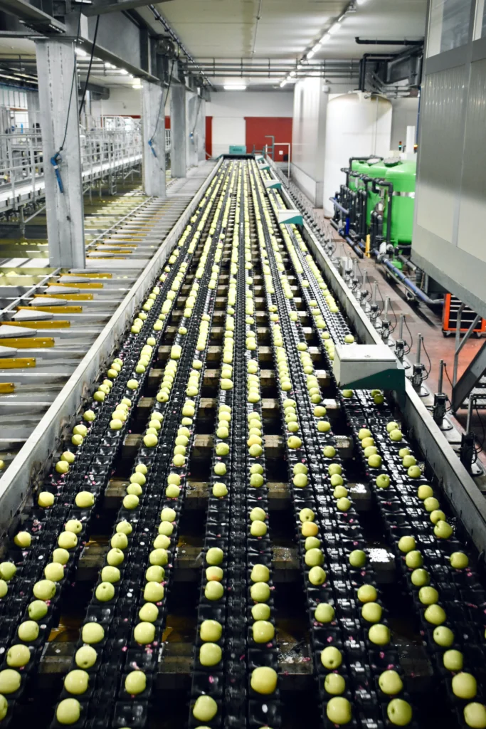 Industria de alimentos y bebidas (1)