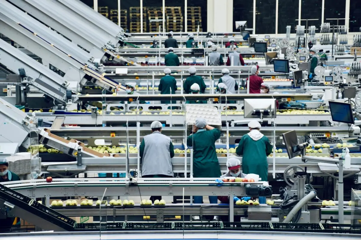 Industria de alimentos y bebidas (2)