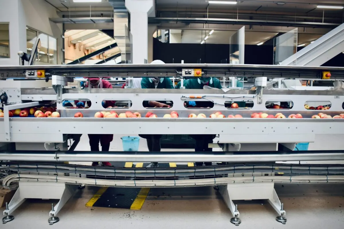 Industria de alimentos y bebidas (5)